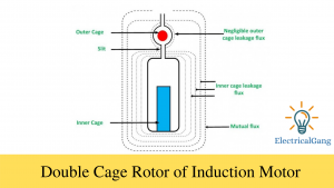 Double Cage Rotor of Induction Motor