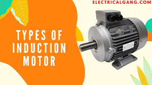 Types of Induction Motor